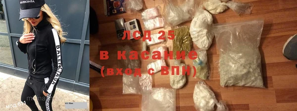 прущие грибы Абаза