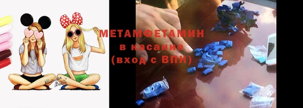 прущие грибы Абаза