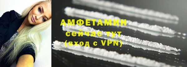 прущие грибы Абаза