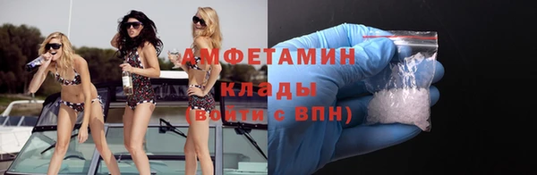 прущие грибы Абаза