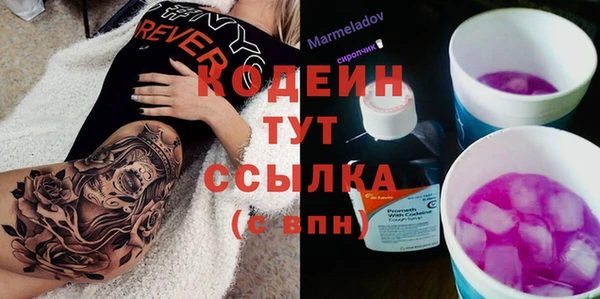 молекула духа Абинск