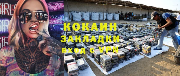 прущие грибы Абаза